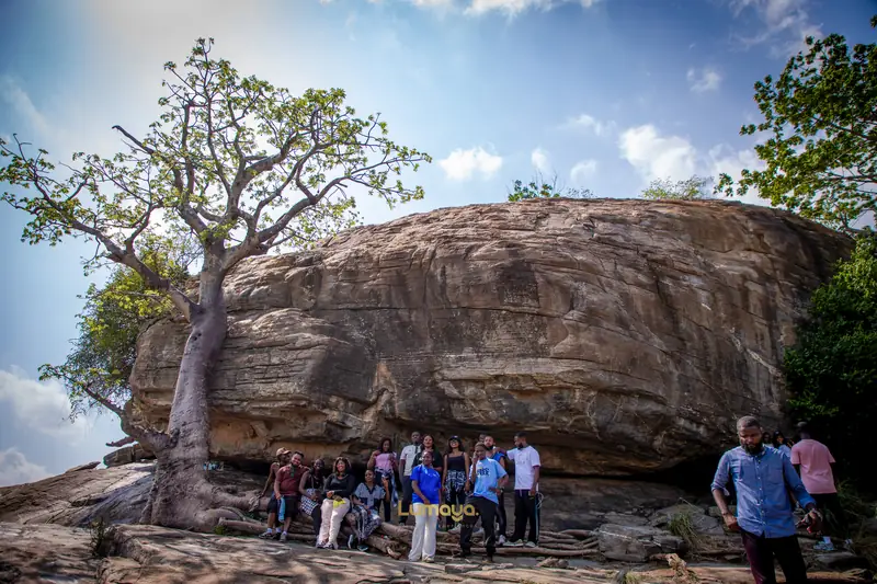 Un groupe sous le granit et le baobab